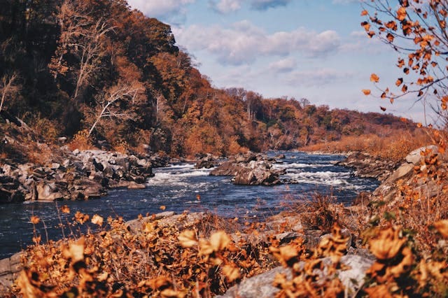 A river meanders through a rocky landscape, framed by autumn-colored trees beneath a cloudy sky, resembling nature's SwingFit—perfectly balanced and in harmony.